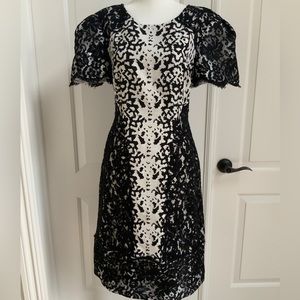 Kay Unger New York knit Lace Cocktail Dress